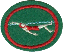Natación II
